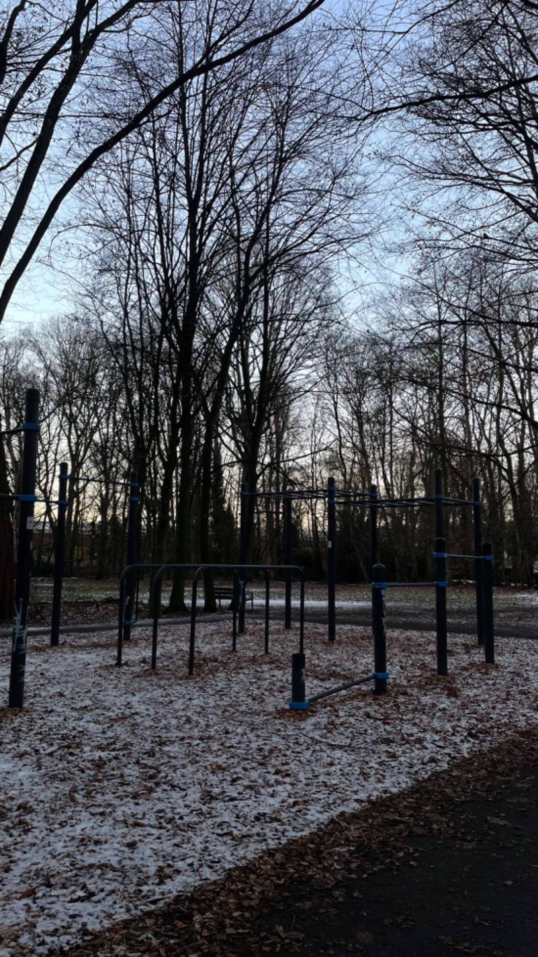 OFS Calisthenics Park photo 2