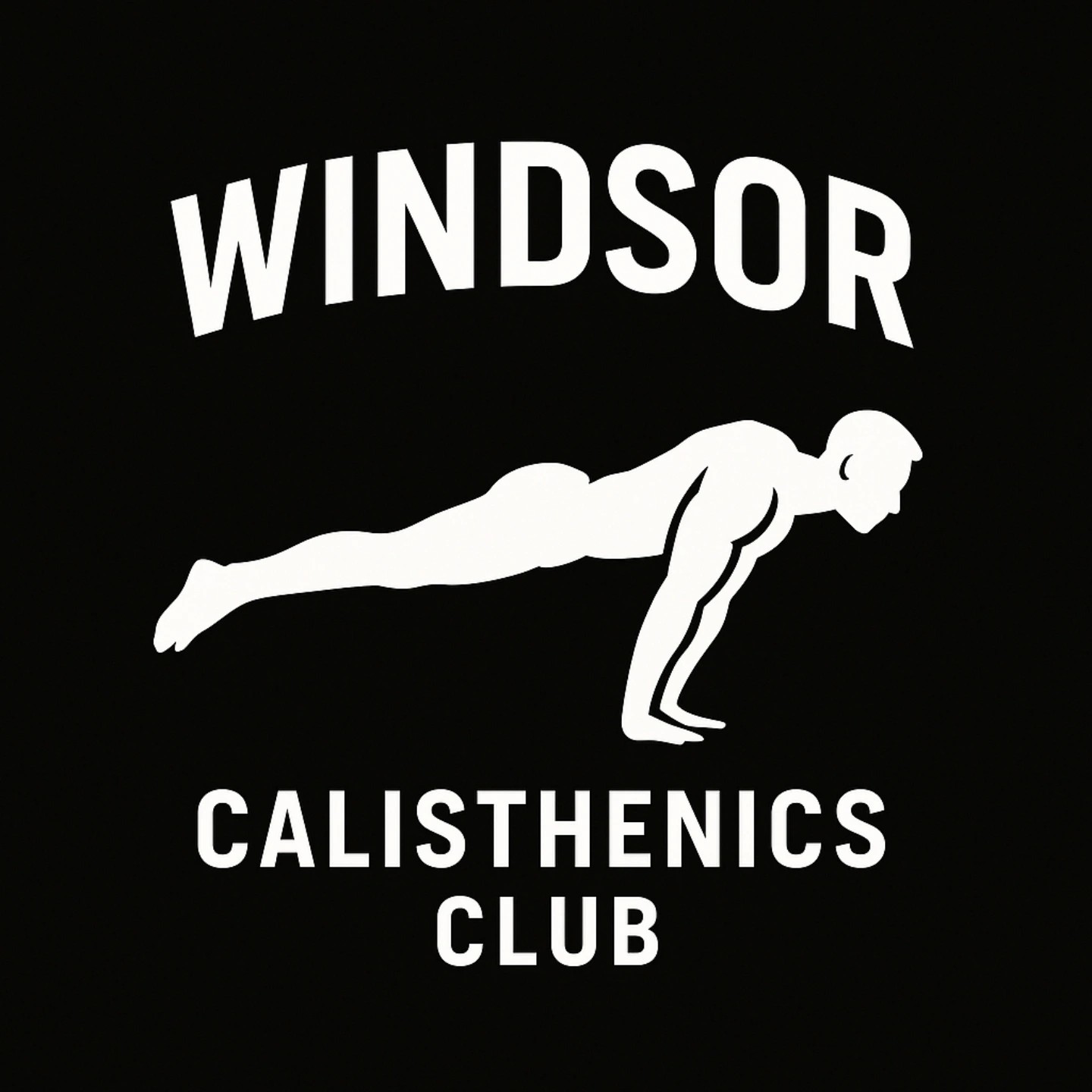 Windsor Calisthenics Club photo 2