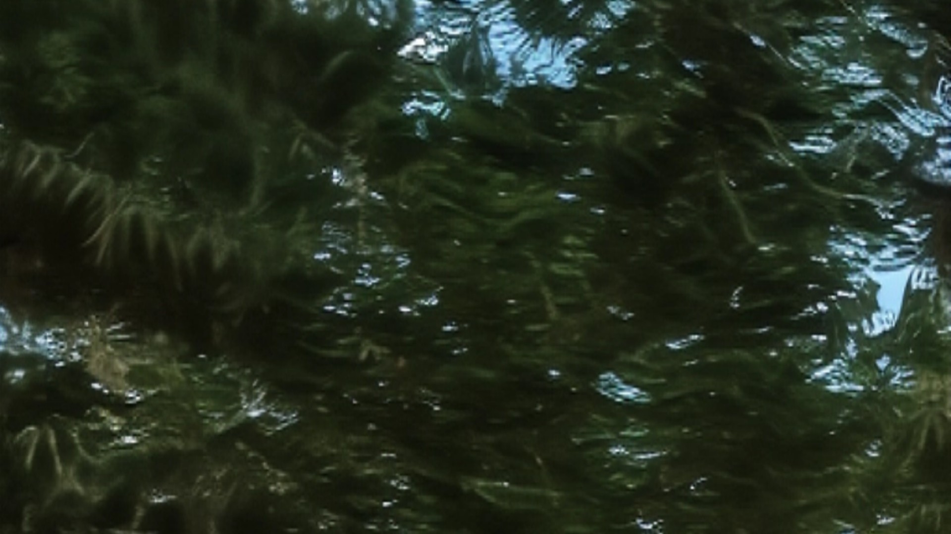 Gang del parchetto di Lainate 